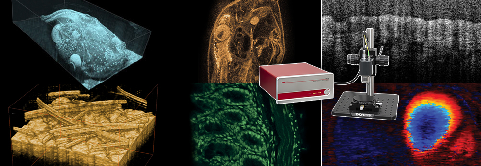生物組織内におけるマイクロレトロリフレクターの波長掃引型OCT画像