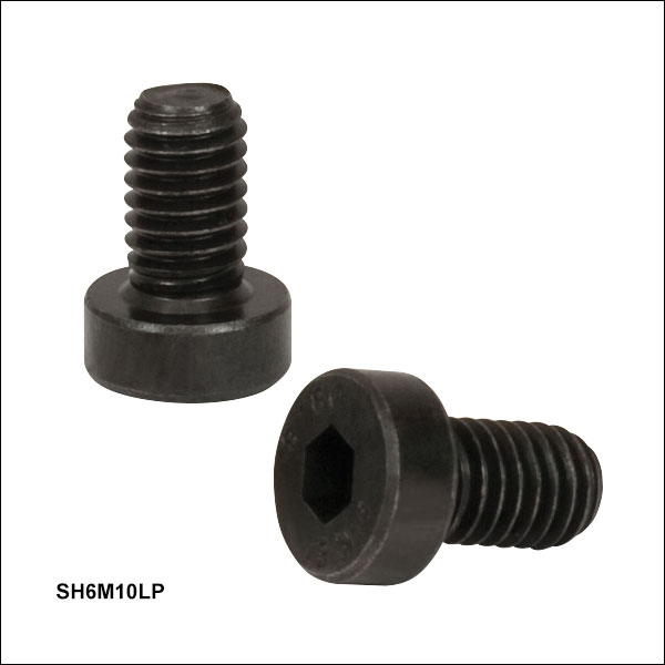 95 mmレール用Tナットと低頭ネジ 95 mmレール用Tナットと低頭ネジ