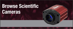 Browse Scientific Cameras