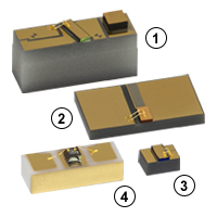 Various Chips on Submounts