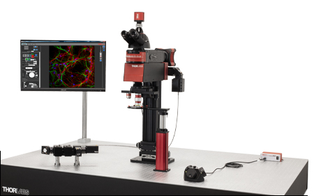 Confocal Microscope