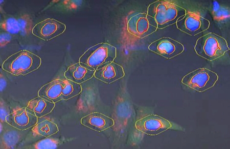Image-Based Segmentation