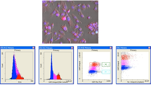 Image-Based Segmentation