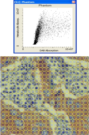 Image-Based Segmentation