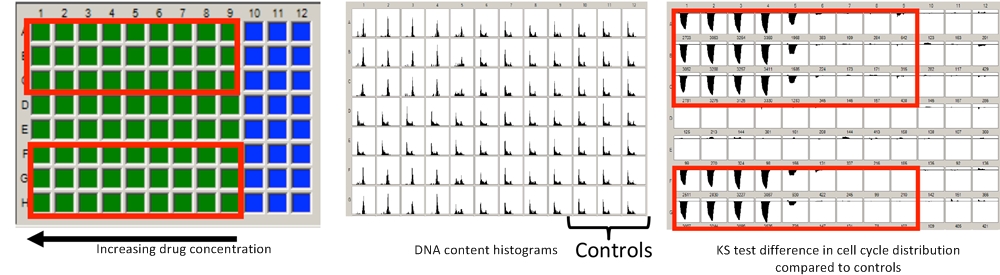 Image-Based Segmentation