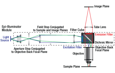 Epi-Illuminator Schematic