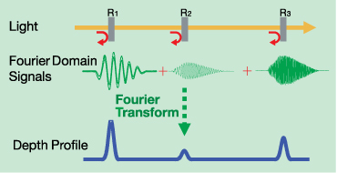 Fourier Domain Signals