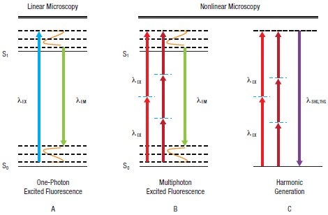 LSM Signal Generation