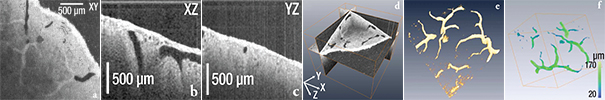 Figure 1.2