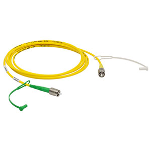 P4-630AR-2 - SM Patch Cable, AR-Coated FC/APC to Uncoated FC/PC, 633 - 780 nm, 2 m Long