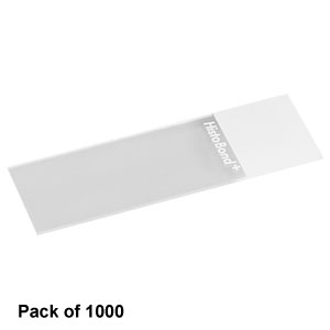 MS10PC - Positively Charged Microscope Slides, 1 mm Thick, White Marking Region, Pack of 1000
