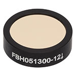 FBH051300-12