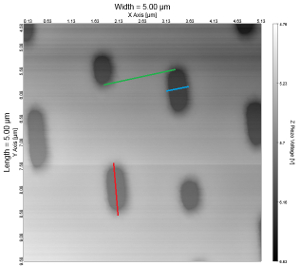 AFM Image of a CD