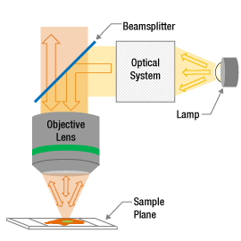 Illustration of an objective lens showing its acceptance angle.