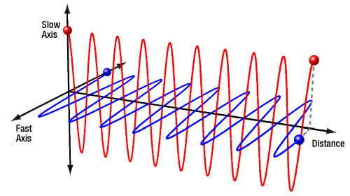 Waves polarized along the fast and slow axis of a PM fiber.