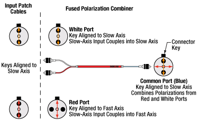 Fused PBC Diagram