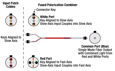 Fused PBC Diagram