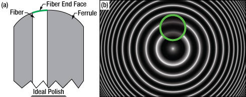 Ideal Fiber Interferogram
