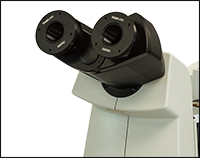 SM2N2 Adapter Attached to Trinocular Eyepieces