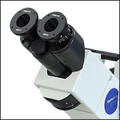 SM2N2 Adapter Attached to Trinocular Eyepieces