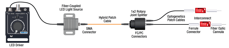 Optogenetics System Schematic