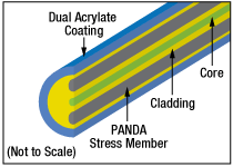 Panda PM Fiber Cross Section