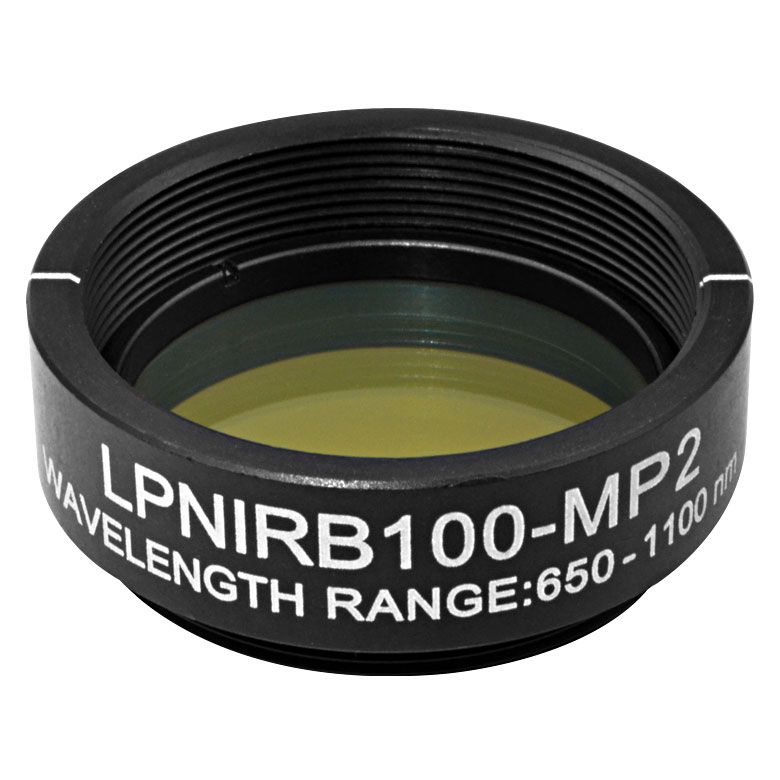 超次元レンズ/Extraplanar Lens》[MRD] 茶R | 日本最大級 MTG